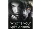 Seeking Spiritual Clarity: Connect with Animals and a Healer Nearby【✚２７７２５７７０３７６】