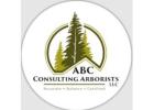 Abc Consultants