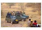 Book Your Jeep Safari in Ranthambore with BigCat Jungle Safari Today