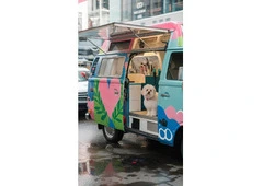 Keep Your Pup Fresh Without Leaving Home