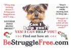 Make Money from Big Company Ads