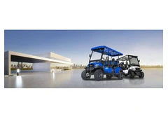 AMI Golf Cart Rentals