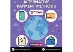 Global Alternative Payment Methods