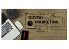 Digital Marketing Courses After 12Th – Softechedu