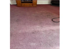 rug cleaning Services Adelaide