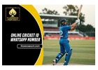 Online Cricket ID Unlocked Benefits Incentives More Join Now