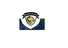 Volleyball Camps In Edmonton