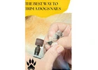 Gentle and Safe Nail Care for Your Dog in Oviedo