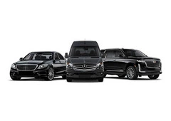 Limo website design