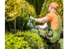 Best Garden Clearance in Leeds