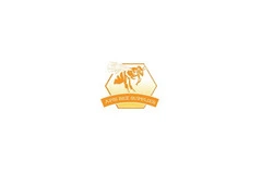 Beekeeping Munster