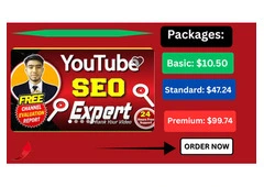 Scale Up Your YouTube Channel Growth with Pakistan's Best Video SEO Expert Gig