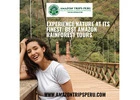 Experience Nature at Its Finest: Best Amazon Rainforest Tours