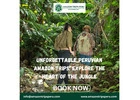 Unforgettable Peruvian Amazon Trips: Explore the Heart of the Jungle