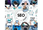 SEO Agency Miami | Site It Now