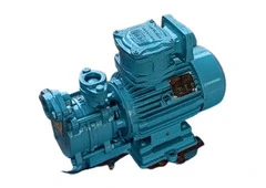 Trusted Flameproof Motors Manufacturers – High-Performance & Certified