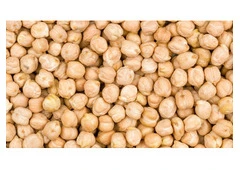 Get On-Time Deliveries from Kabuli Chickpeas Wholesaler