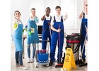 Carpet Cleaning specialist Adelaide