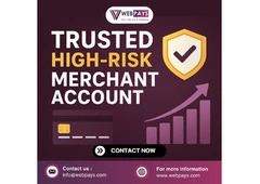Trusted High-Risk Merchant Account