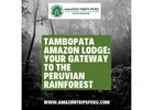 Tambopata Amazon Lodge: Your Gateway to the Peruvian Rainforest
