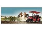 Island Adventures Made Easy with AMI Golf Cart Rentals