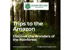 Trips to the Amazon: Discover the Wonders of the Rainforest