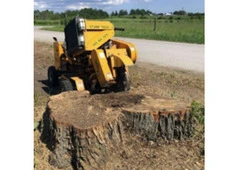 Best Stump Removal in Oshawa