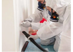 Best Asbestos Testing in Woolloongabba