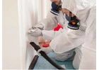 Best Asbestos Testing in Woolloongabba