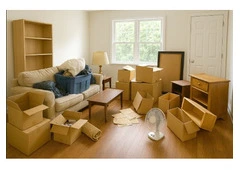 Palm Beach Same-Day Junk Removal