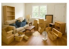 Palm Beach Same-Day Junk Removal