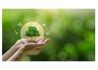All-in-One Grower Management Software for Greenhouse Operations & Plant Nursery