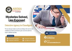 Arora Detective Agency Chandigarh