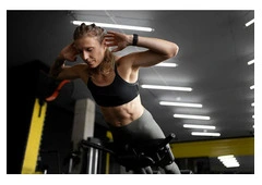 Expert SEO for Sports Website