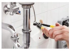 Best Plumbing Maintenance in East Tamaki