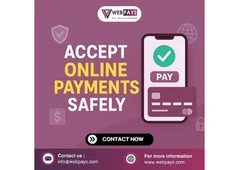 Accept Online Payments Safely