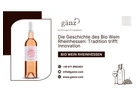 Die Geschichte des Bio Wein Rheinhessen: Tradition trifft Innovation