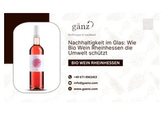Nachhaltigkeit im Glas: Wie Bio Wein Rheinhessen die Umwelt schützt