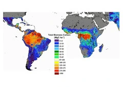 global warming impacts