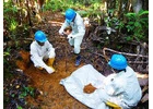Safe and Modern Gold Extraction Process Solutions