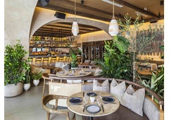 Discover the Best Cafes in Orlando Today!