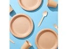 Eco Disposable Plates – Perfect for Parties & Events