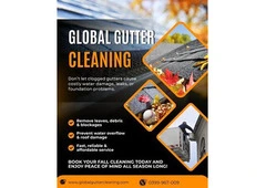 Gutter Cleaning in Avondale Heights