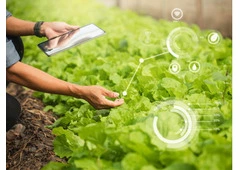 Inventory Management System for Commercial Plant Growers, Greenhouses & Nursery