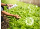Inventory Management System for Commercial Plant Growers, Greenhouses & Nursery