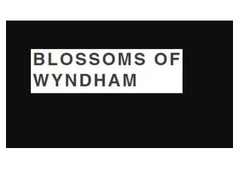 Same Day Flower Delivery Point Cook -  Blossom of Wyndham