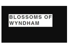 Same Day Flower Delivery Point Cook -  Blossom of Wyndham