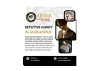 Best Detective Agency in Gurdaspur – Arora Detective Agency 