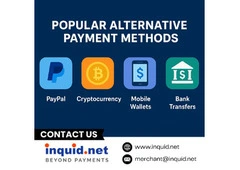 Popular Alternative Payment Methods
