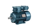 Flameproof Motors Manufacturers – Reliable & Durable Solutions